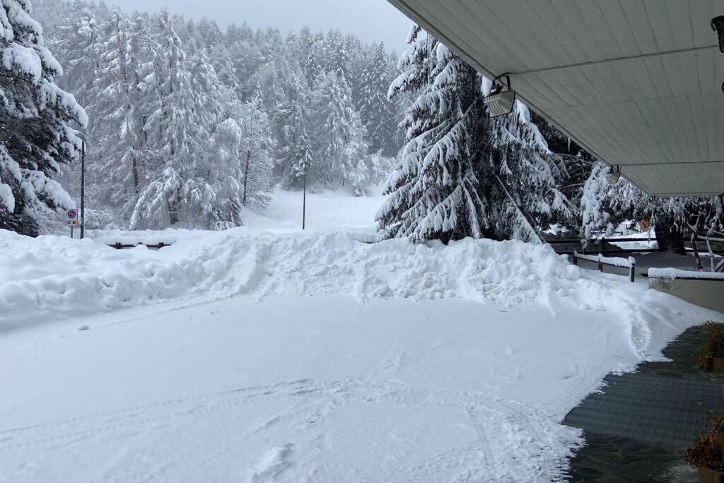 Il rifugio dello sciatore a 200 m dagli impianti. Aprica Esterno foto